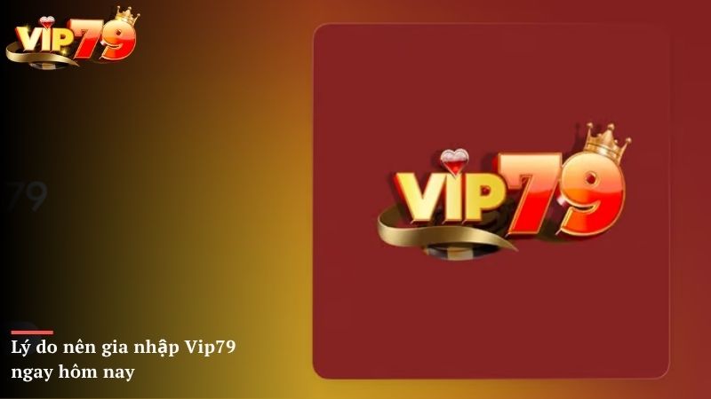 Lý do nên gia nhập Vip79 ngay hôm nay
