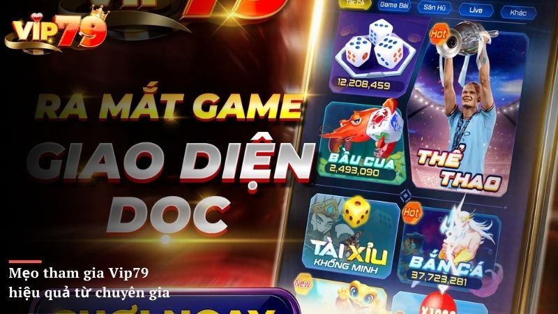 Mẹo tham gia Vip79 hiệu quả từ chuyên gia