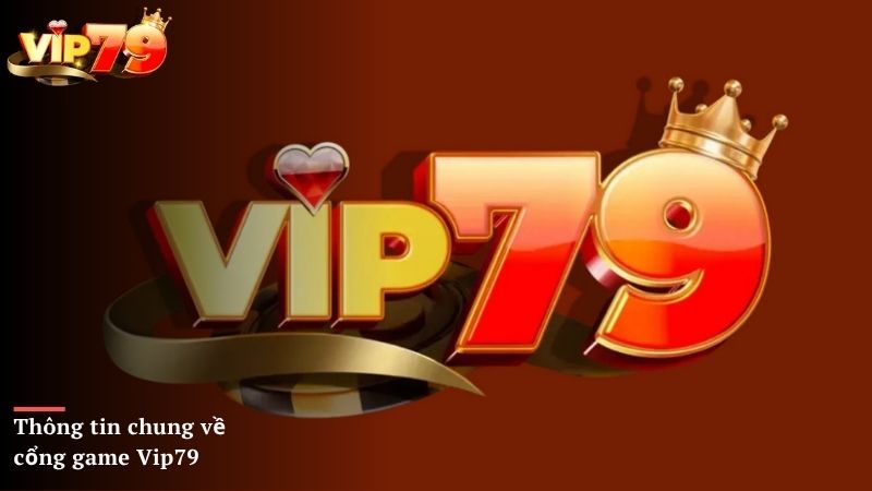 Giới thiệu Vip79 - Những thông tin chung về cổng game