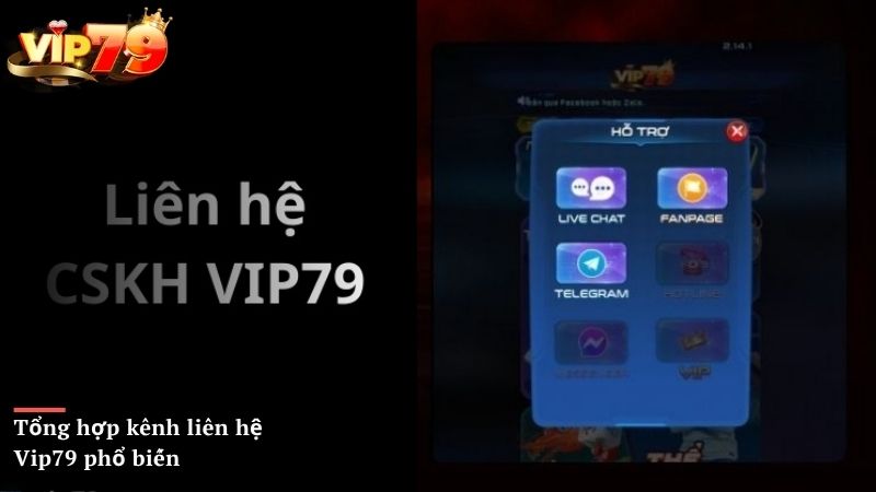 Tổng hợp kênh liên hệ Vip79 phổ biến